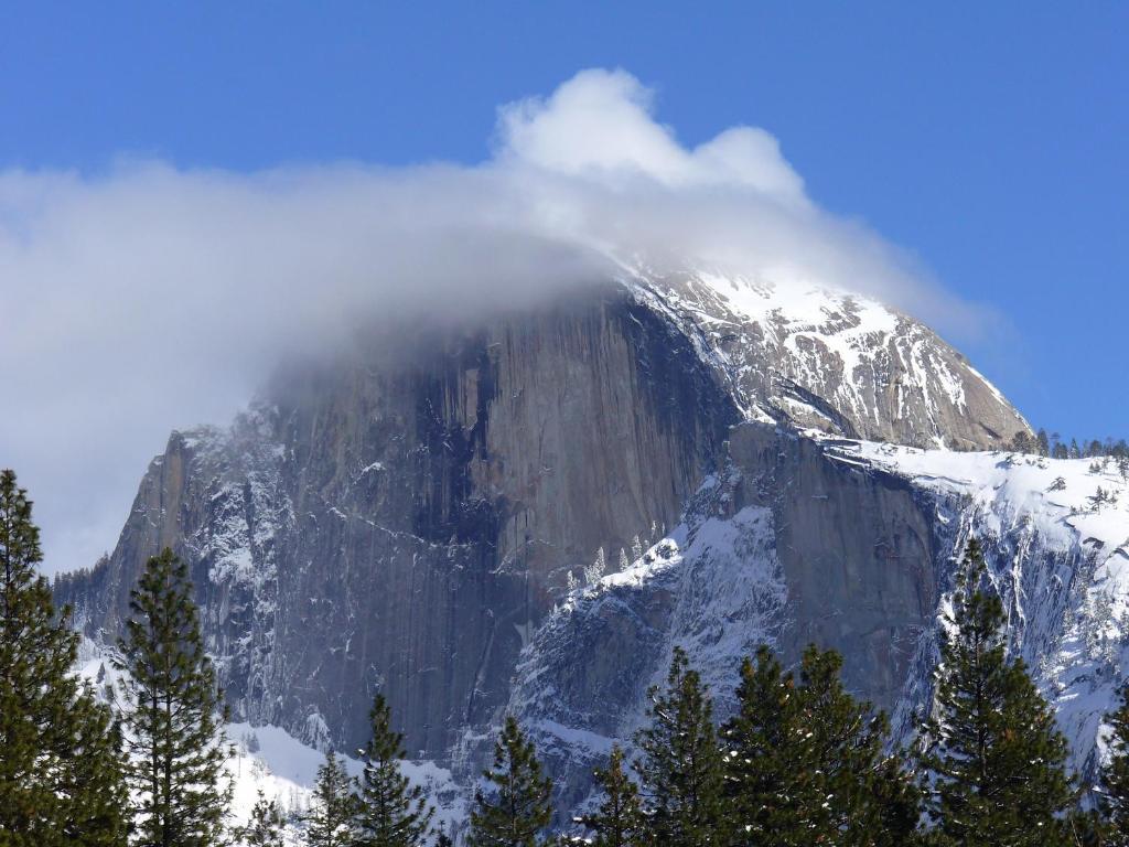 Yosemite Sierra View Bed & Breakfast Oakhurst Eksteriør bilde